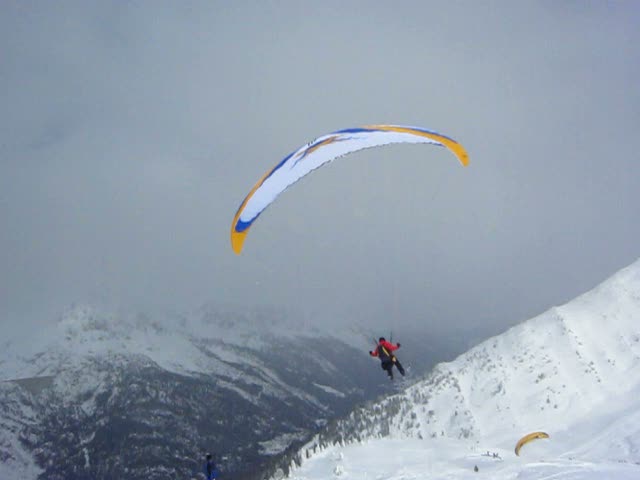 Vol et Ski Chamonix 31/01/2010 N°2