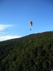 sorgia16