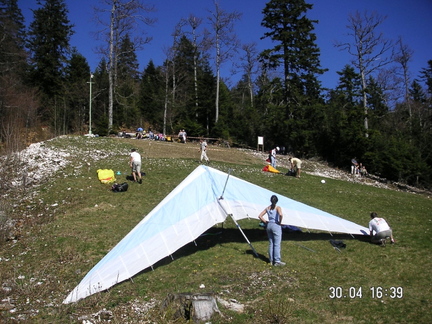 sorgia2