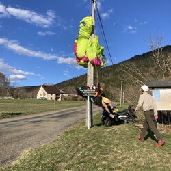Bêtisier